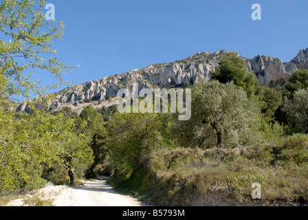 Via A Els Frares pinnacoli di roccia, Sierra de Serrella, Comtat, Provincia di Alicante, Comunidad Valenciana, Spagna Foto Stock