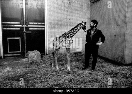 Il detentore di Jeff Nicklin con baby giraffa. Gennaio 1975 75-00398-003 Foto Stock