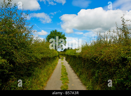 Stretto vicolo del paese vicino a Milnthorpe, Cumbria, con l'erba cresce in basso al centro, England Regno Unito Foto Stock