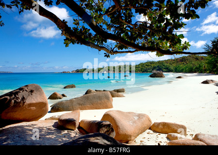 Anse Lazio in Isola di Praslin Seychelles Foto Stock