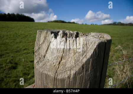 Sommità di un palo da recinzione con i campi e il luminoso cielo blu in background Foto Stock