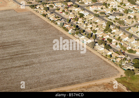 Vista aerea di una fattoria di cotone in cotone Arizona campo adiacente ad una zona residenziale Foto Stock