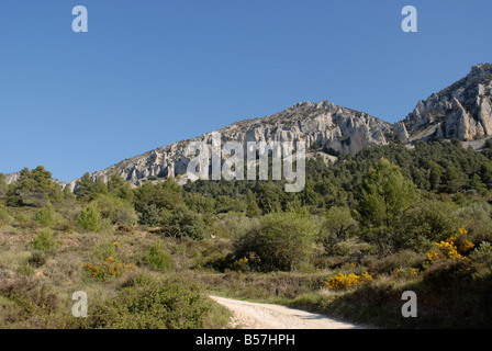 Via A Els Frares pinnacoli di roccia, Sierra de Serrella, Comtat, Provincia di Alicante, Comunidad Valenciana, Spagna Foto Stock