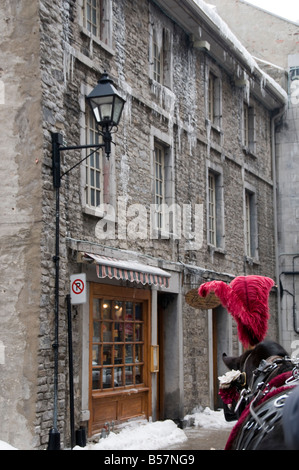 Giro in carrozza nella vecchia Montreal, Quebec, Canada Foto Stock