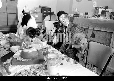 Cani festa di Natale. "Hobo' ospita la doggy gli ospiti godono di un menu di biscotti, dog-carne, la Turchia a salsa e salsa di cioccolato in gocce. ;Dicembre 1970 ;70-11583-014 Foto Stock
