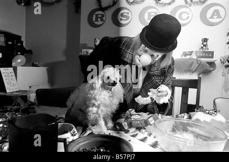Cani festa di Natale. "Hobo' ospita la doggy gli ospiti godono di un menu di biscotti, dog-carne, la Turchia a salsa e salsa di cioccolato in gocce. ;Dicembre 1970 ;70-11583-015 Foto Stock
