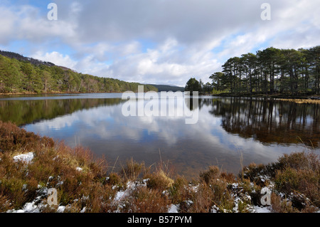 Loch un Eilein, vicino a Aviemore, Cairngorms National Park, Highlands, Scotland, Regno Unito, Europa Foto Stock