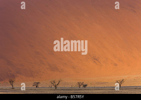 Le dune di sabbia, Sossusvlei, Namib Naukluft Park, Namib Desert, Namibia, Africa Foto Stock