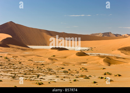 Le dune di sabbia, Sossusvlei, Namib Naukluft Park, Namib Desert, Namibia, Africa Foto Stock