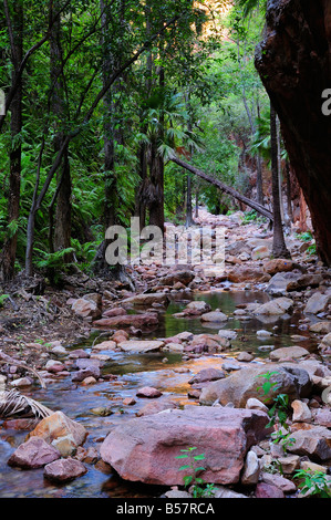 El Questro Gorge, Kimberley, Australia occidentale, Australia Pacific Foto Stock