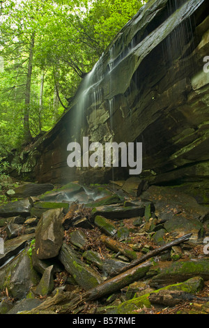 Slick roccia cade Pisgah National Forest Western NC USA Foto Stock