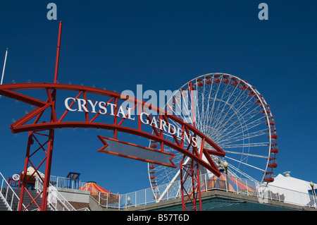 Il Navy Pier, Chicago, Illinois, Stati Uniti d'America, America del Nord Foto Stock