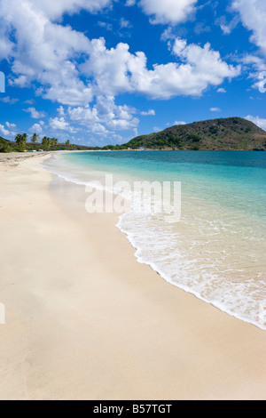 Turtle Beach sulla penisola a sud-est, Saint Kitts, Isole Sottovento, West Indies, dei Caraibi e America centrale Foto Stock