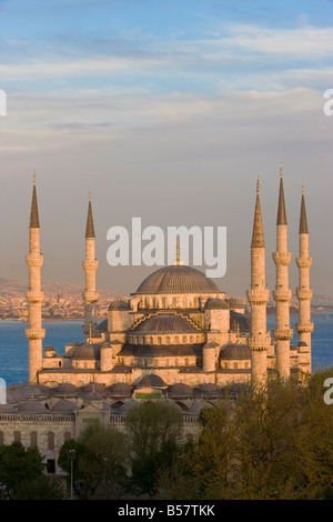 Vista in elevazione della Moschea Blu (Sultan Ahmet) in Sultanahmet, affacciato sul Bosforo, Istanbul, Turchia, Europa Foto Stock