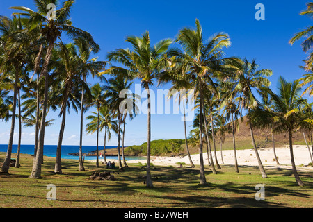 Spiaggia di Anakena, l'isola di spiagge di sabbia bianca orlate da palme, Rapa Nui (l'Isola di Pasqua), Cile, Sud America Foto Stock