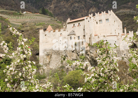 Apple Blossom in primavera e il castello di Castelbello, Valle dell Adige, Italia, Europa Foto Stock