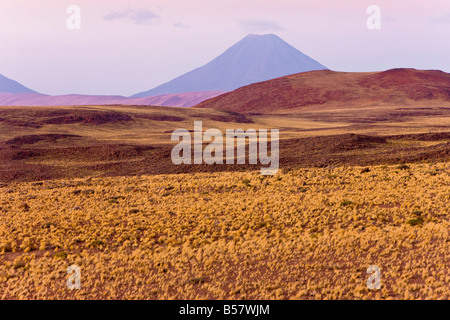 L'altiplano, los Flamencos riserva nazionale, il Deserto di Atacama, Antofagasta Regione Norte Grande del Cile Foto Stock