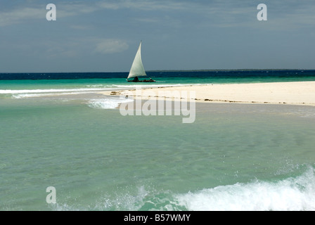 Sambuco, Pangani, vicino a tanga, Tanzania, Africa orientale, Africa Foto Stock