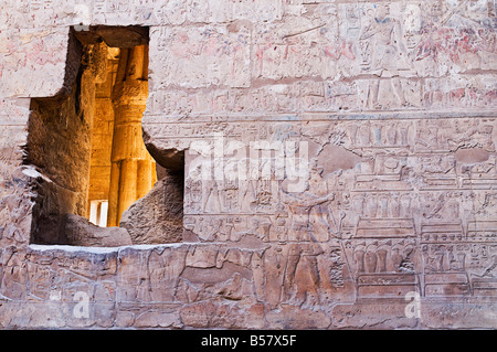 Dettaglio della parete in corrispondenza del Tempio di Luxor, Luxor, Tebe, Sito Patrimonio Mondiale dell'UNESCO, Medio Egitto Egitto, Africa Settentrionale, Africa Foto Stock