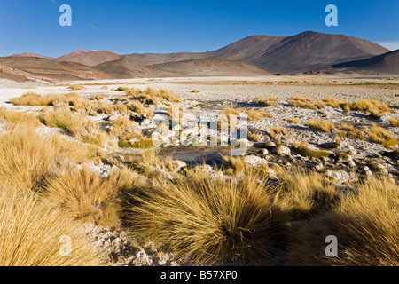 Altiplano, los Flamencos riserva nazionale, il Deserto di Atacama, Regione di Antofagasta, Cile Foto Stock