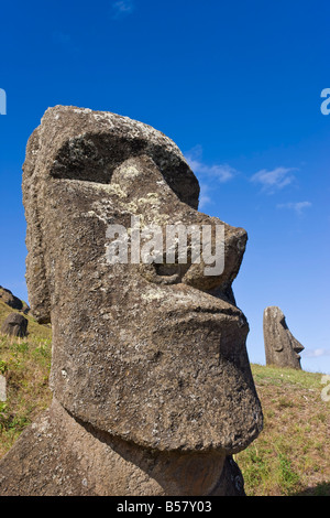 Gigante di pietra monolitica Moai statue a Rano Raraku, Rapa Nui (l'Isola di Pasqua), il Sito Patrimonio Mondiale dell'UNESCO, Cile, Sud America Foto Stock