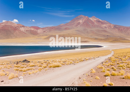 Laguna Miscanti, los Flamencos riserva nazionale, il Deserto di Atacama, Antofagasta Regione Norte Grande del Cile Foto Stock