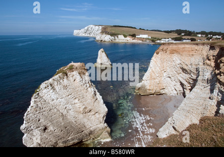 La baia di acqua dolce e di Tennyson giù dalla Afton giù, Isle of Wight, England, Regno Unito, Europa Foto Stock