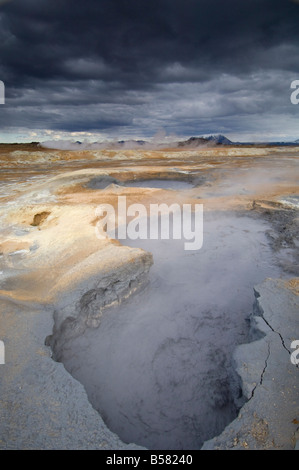 Hverir campi geotermici ai piedi della montagna di Namafjall, Myvatn lago, Islanda, regioni polari Foto Stock