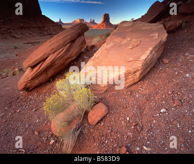 Vista dalla finestra del Nord, Monument Valley Tribal Park, Arizona, Stati Uniti d'America, America del Nord Foto Stock