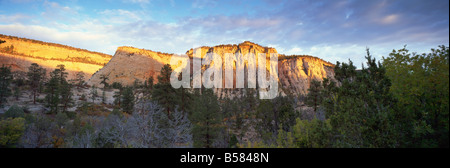 La prima luce sulle colline, Parco Nazionale Zion, Utah, Stati Uniti d'America, America del Nord Foto Stock