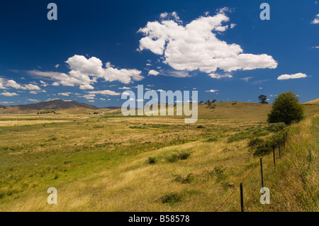 Terreni agricoli, Nariel Creek, Victoria, Australia Pacific Foto Stock