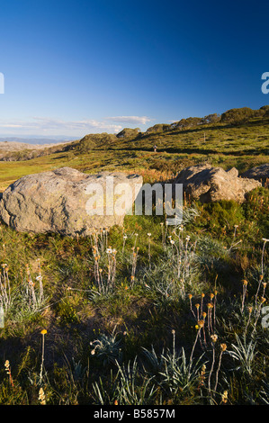 High Country, Bogong High Plains, Apline National Park, Victoria, Australia Pacific Foto Stock