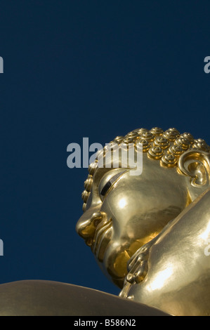 Enorme Buddha d'oro sulle rive del fiume Mekong a Sop Ruak, Thailandia, Sud-est asiatico, in Asia Foto Stock