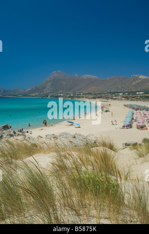 Spiaggia in erba che cresce in dune di sabbia lungo la spiaggia di Phalassarna (Falassarna) sulla costa occidentale di Creta, Grecia, Europa Foto Stock