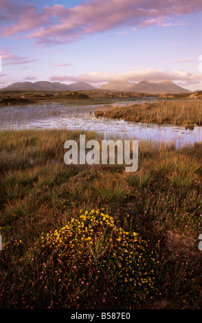 Ballynahinch Lago e dodici perni, vicino a Clifden, Connemara, nella contea di Galway, Connacht, Repubblica di Irlanda (Eire), Europa Foto Stock