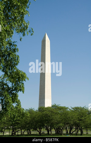 Washington Mounument, Washington D.C. (Distretto di Columbia), Stati Uniti d'America, America del Nord Foto Stock