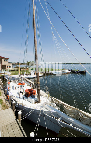 Storica restaurata palamite barca a vela Chesapeake Bay Maritime Museum St. Michaels Talbot County miglia fiume Maryland USA Foto Stock