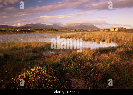 Ballynahinch Lago e dodici perni, vicino a Clifden, Connemara, nella contea di Galway, Connacht, Repubblica di Irlanda (Eire), Europa Foto Stock
