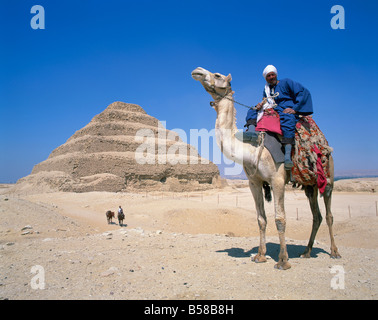 Guida sul cammello di fronte al passo piramide del faraone Zoser a Saqqara (Sakkara), il Sito Patrimonio Mondiale dell'UNESCO, Egitto Foto Stock