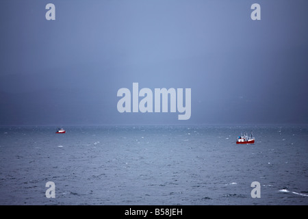 Barche da pesca sul Loch Ginestra, Ullapool, Scozia Foto Stock