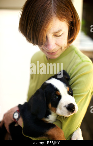 Donna anziana detiene una bracciata di amore, sotto forma di tre mese old Swiss Mountain cane cucciolo, tutte le zampe, muso, gli occhi e le pellicce Foto Stock