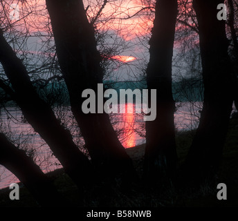 Il tramonto sopra fiume Elba vicino a Magdeburgo in Germania Foto Stock