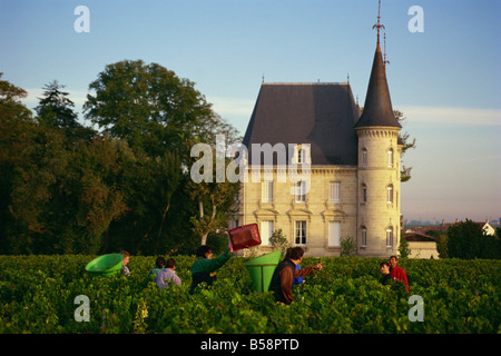 Chateau Pichon Longueville, Medoc, Pauillac, Aquitania, in Francia, in Europa Foto Stock