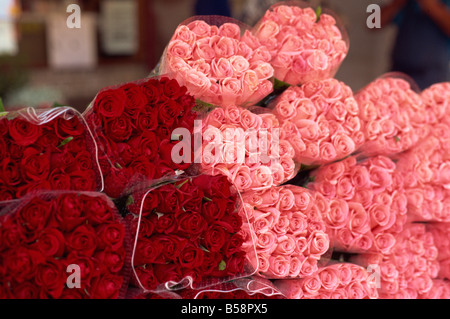 Le rose per la vendita nel mercato Annecy Haute Savoie Francia Europa Foto Stock