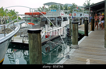 Barche e approda a Stuart Cove di avventure Aqua Center Isola Nuova Providence Bahamas Foto Stock