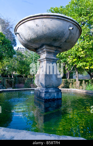 Fontana di Alcazar dei Re Cristiani, Cordoba Foto Stock