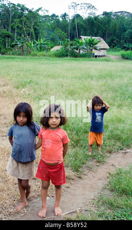 I bambini in una giungla radura in riserva Cuaybeno, Amazon, Ecuador, Sud America Foto Stock