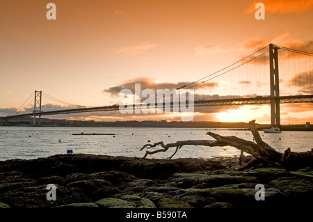 Autunno luce della sera sul Forth Road Bridge da North Queensferry Regione Fife Scozia UK Foto Stock