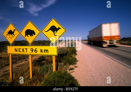 Animal Crossing cartello stradale, Australia Foto Stock