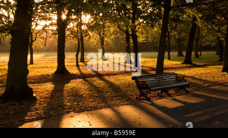 Una panchina nel parco di Regents Park London REGNO UNITO Foto Stock